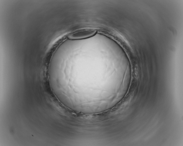 X0000114151352200910221538