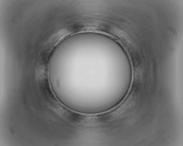 X0000114151353200910221538