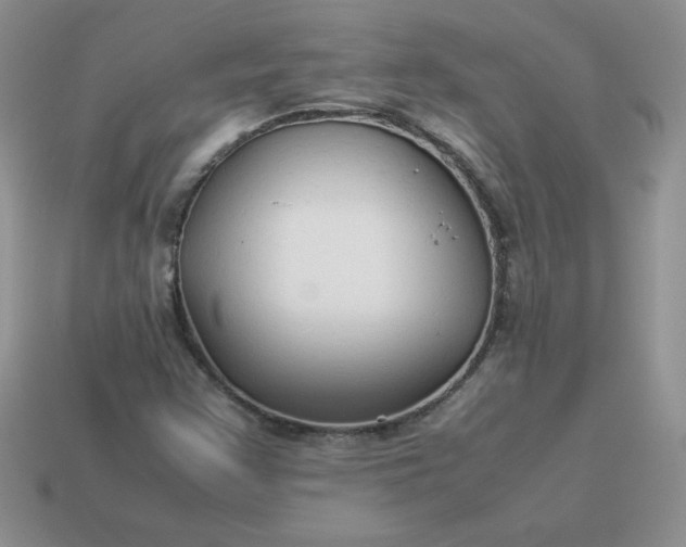 X0000114151355200910221538