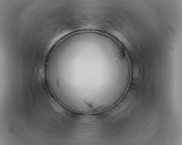 X0000114151356200910221538