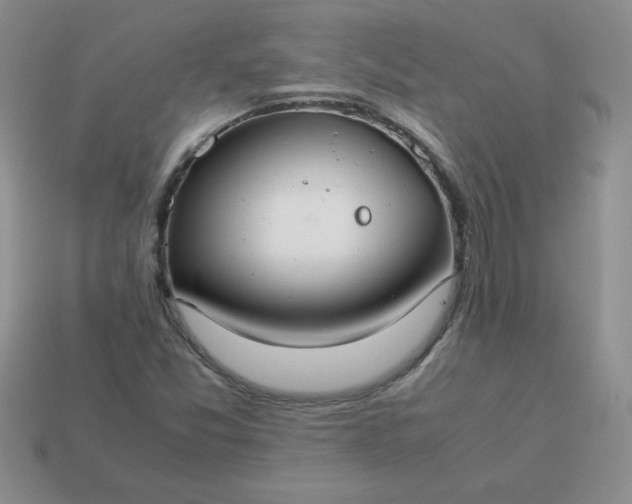 X0000114151357200910221538