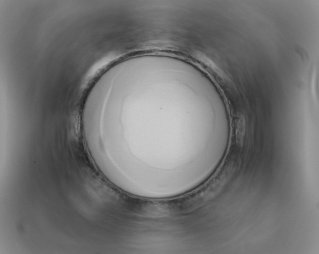 X0000114151358200910221538