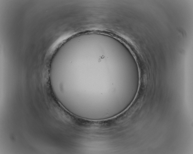 X0000114151359200910221538