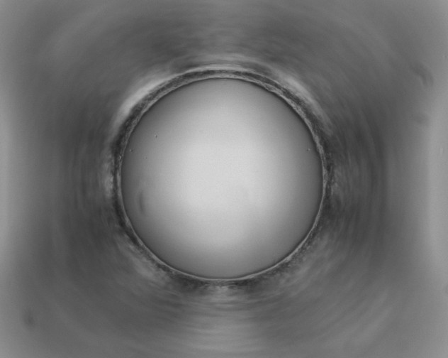 X0000114151360200910221538