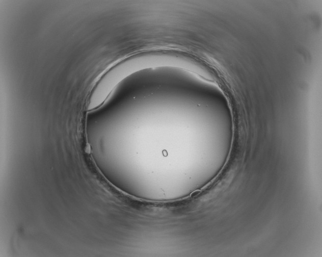 X0000114151361200910221538