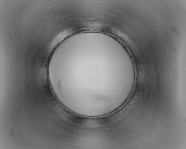 X0000114151362200910221538