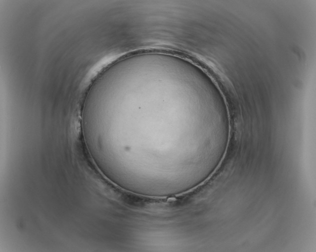 X0000114151363200910221538