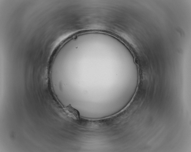 X0000114151364200910221538