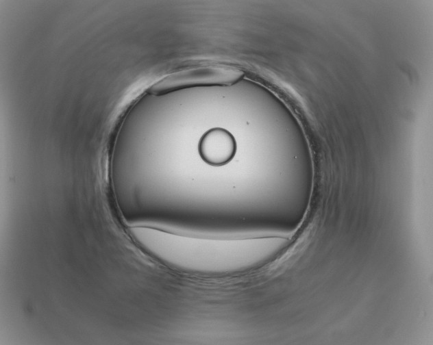 X0000114151365200910221538