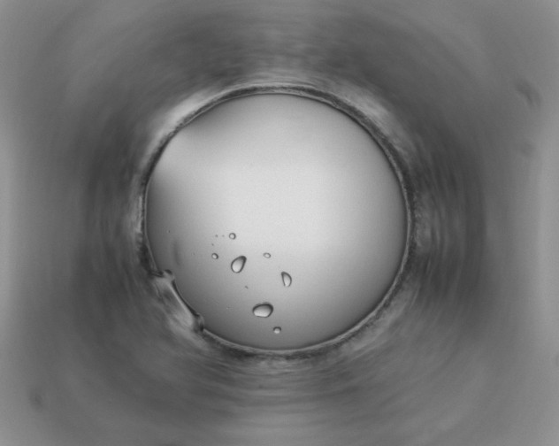 X0000114151366200910221538