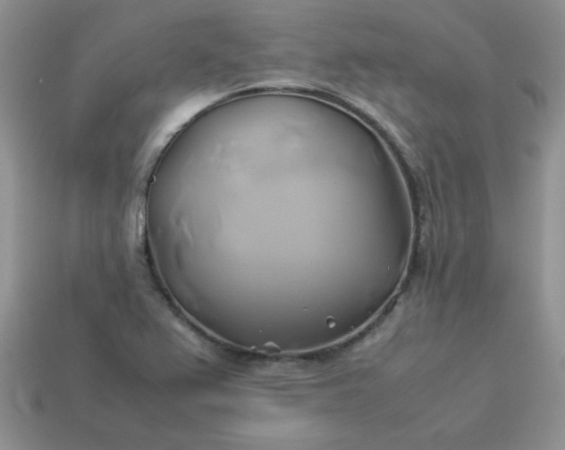 X0000114151367200910221538