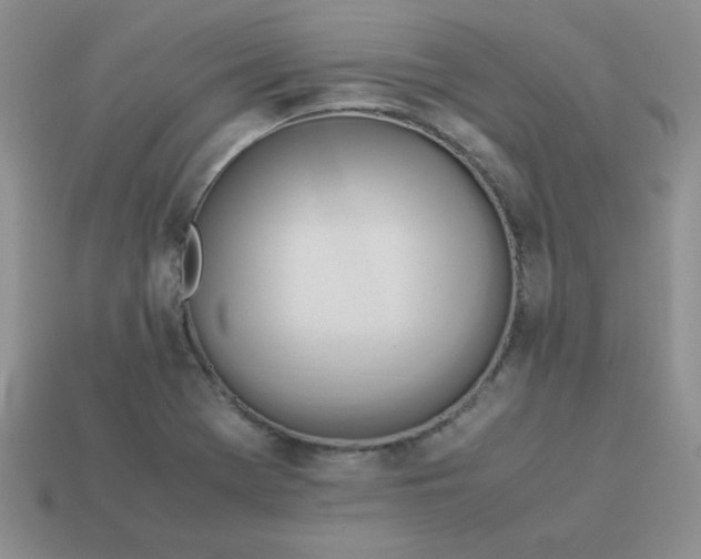 X0000114151369200910221537