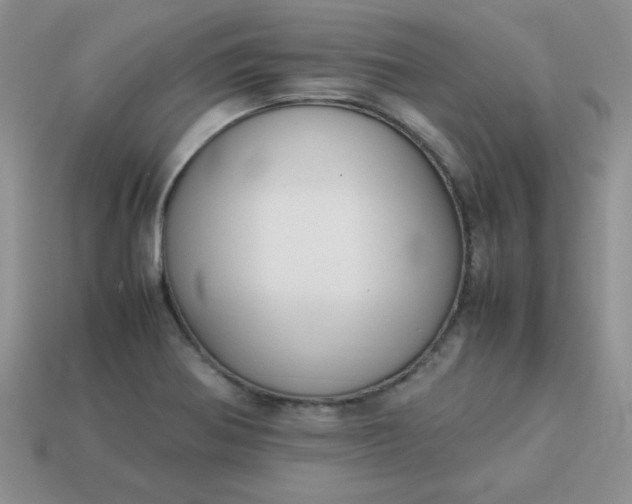 X0000114151370200910221537