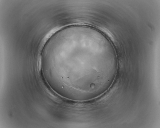 X0000114151371200910221537