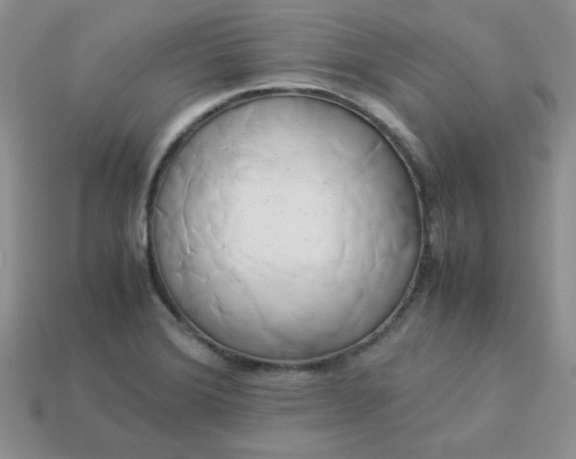 X0000114151372200910221537