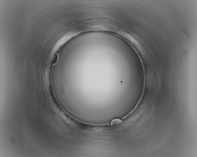 X0000114151373200910221537