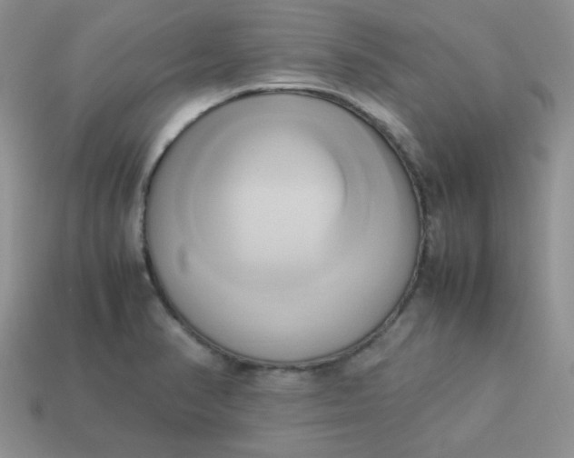 X0000114151374200910221537