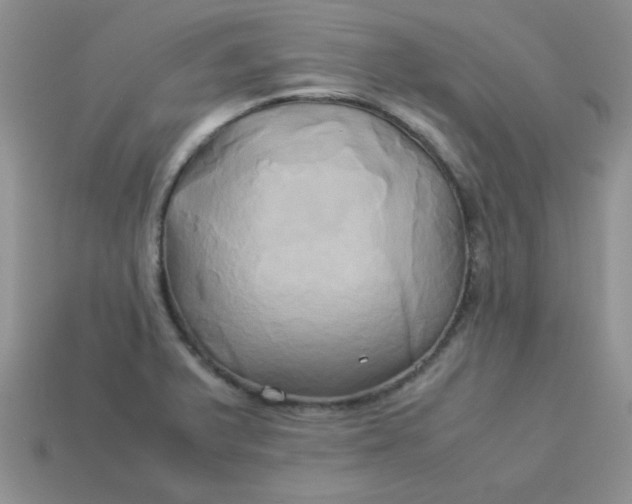 X0000114151375200910221537