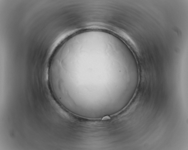 X0000114151376200910221537