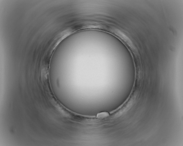 X0000114151377200910221537