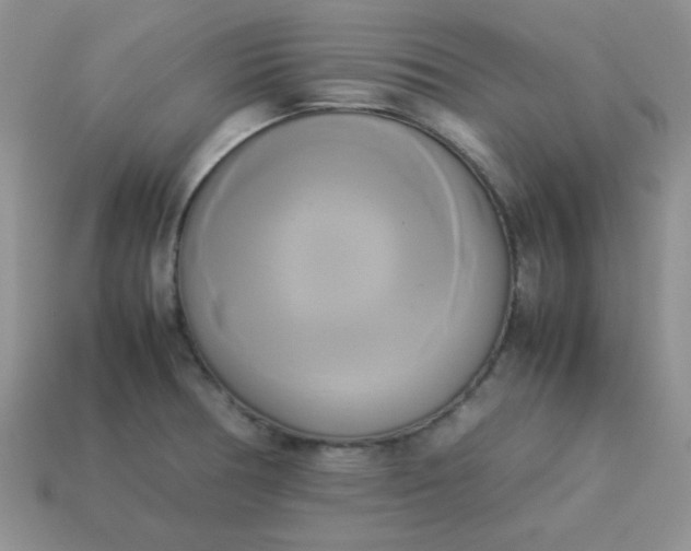 X0000114151378200910221537