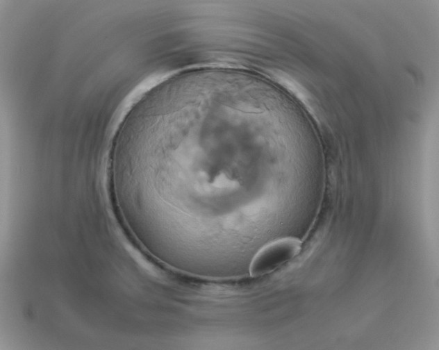 X0000114151379200910221537