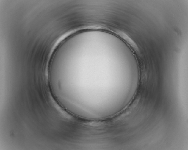 X0000114151380200910221537