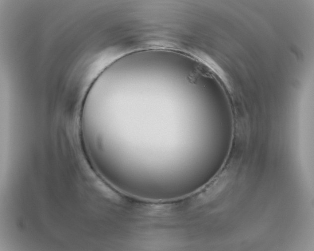 X0000114151381200910221537