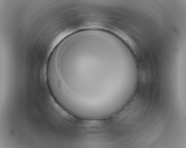 X0000114151382200910221537