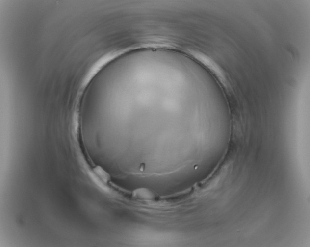 X0000114151383200910221537