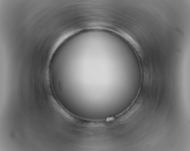 X0000114151384200910221537