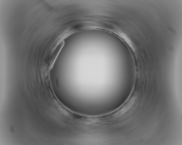 X0000114151385200910221537