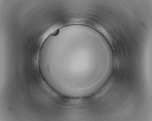 X0000114151386200910221537