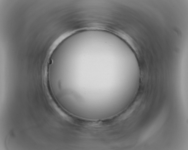 X0000114151387200910221537