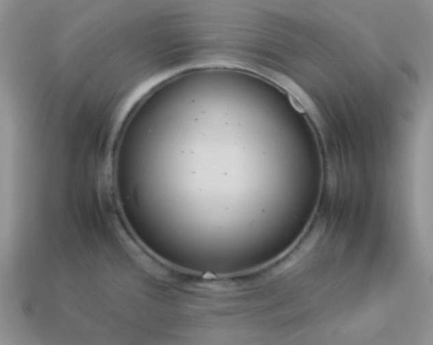 X0000114151388200910221537