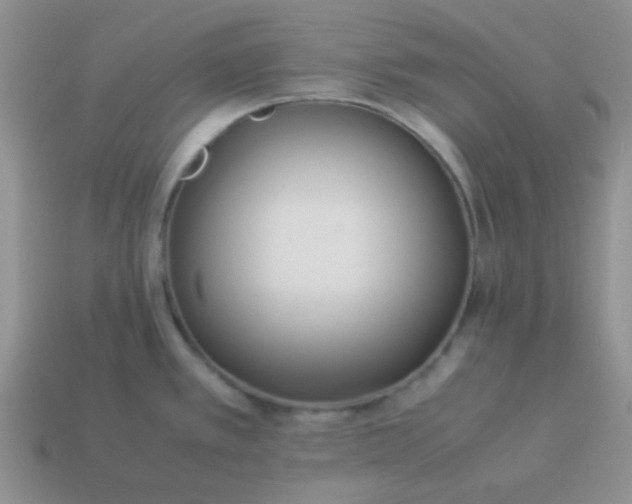 X0000114151389200910221537