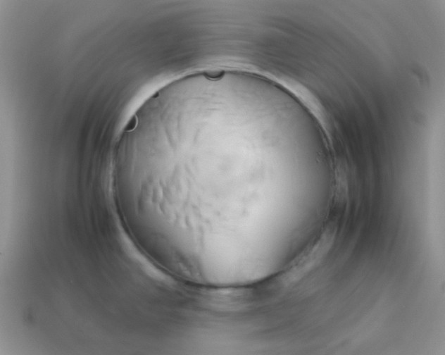 X0000114151390200910221537