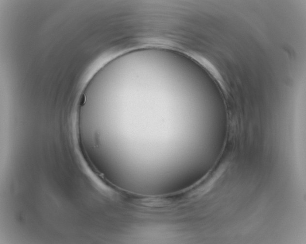 X0000114151391200910221537