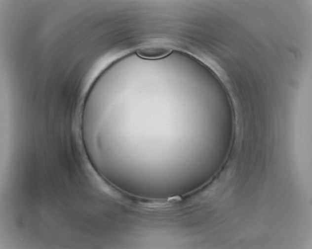 X0000114151392200910221537