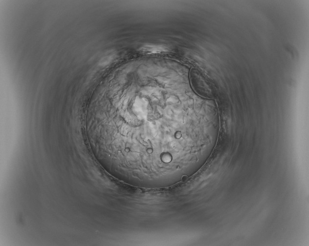 X0000114151393200910221536