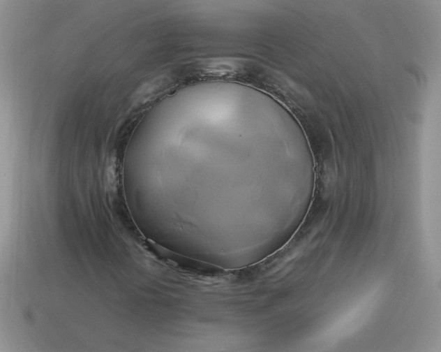 X0000114151394200910221536