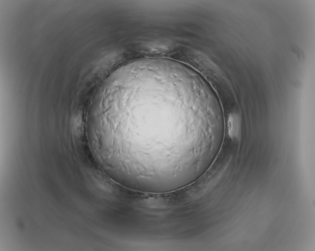 X0000114151395200910221536