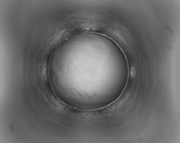 X0000114151396200910221536