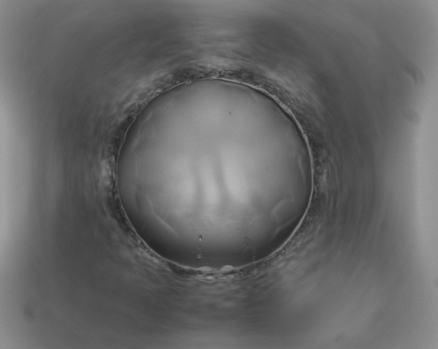 X0000114151397200910221536