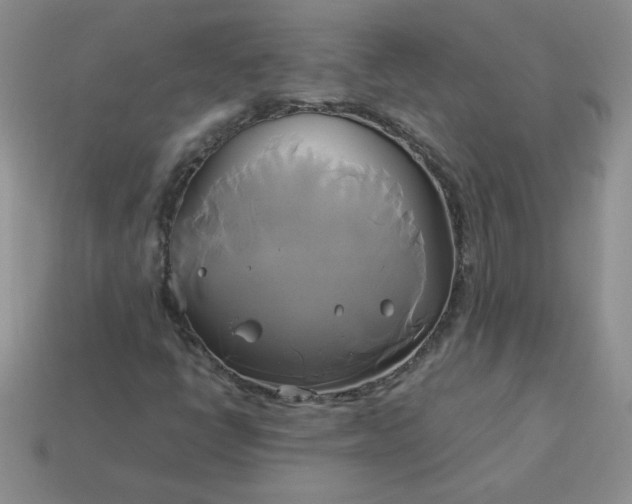 X0000114151398200910221536