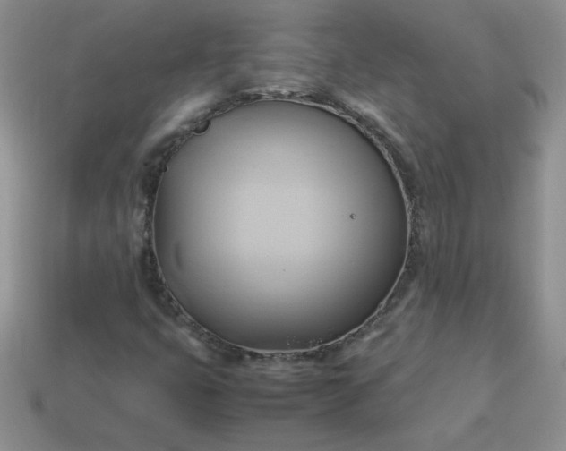 X0000114151399200910221536