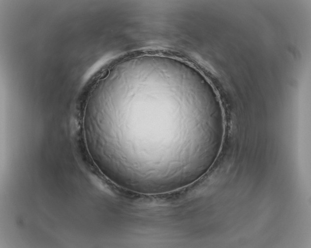 X0000114151400200910221536