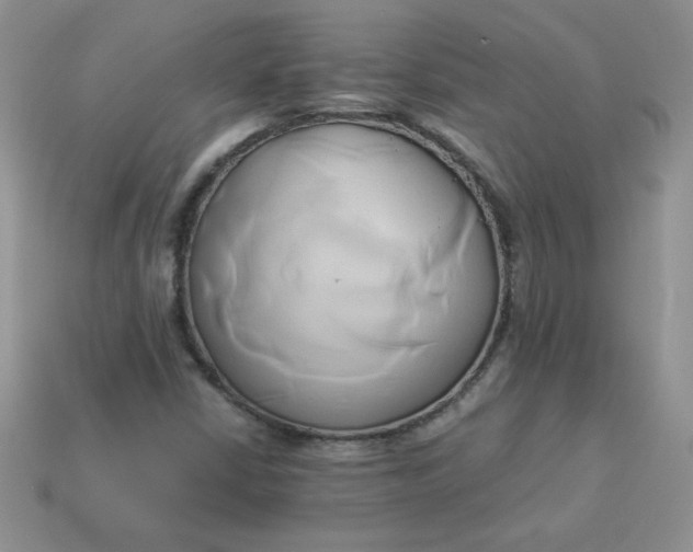 X0000114151402200910221536