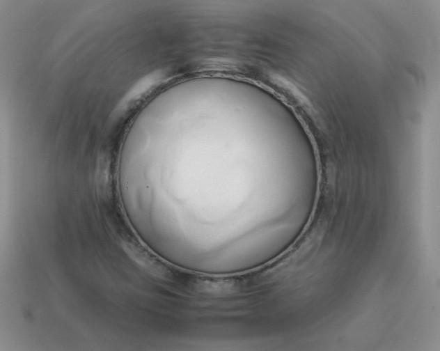 X0000114151403200910221537