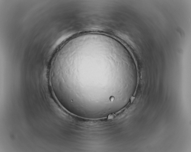 X0000114151404200910221537